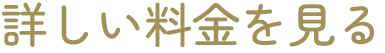料金を詳しく見る